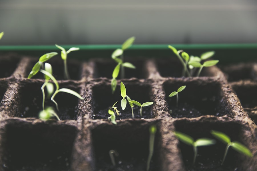Outdoor mission